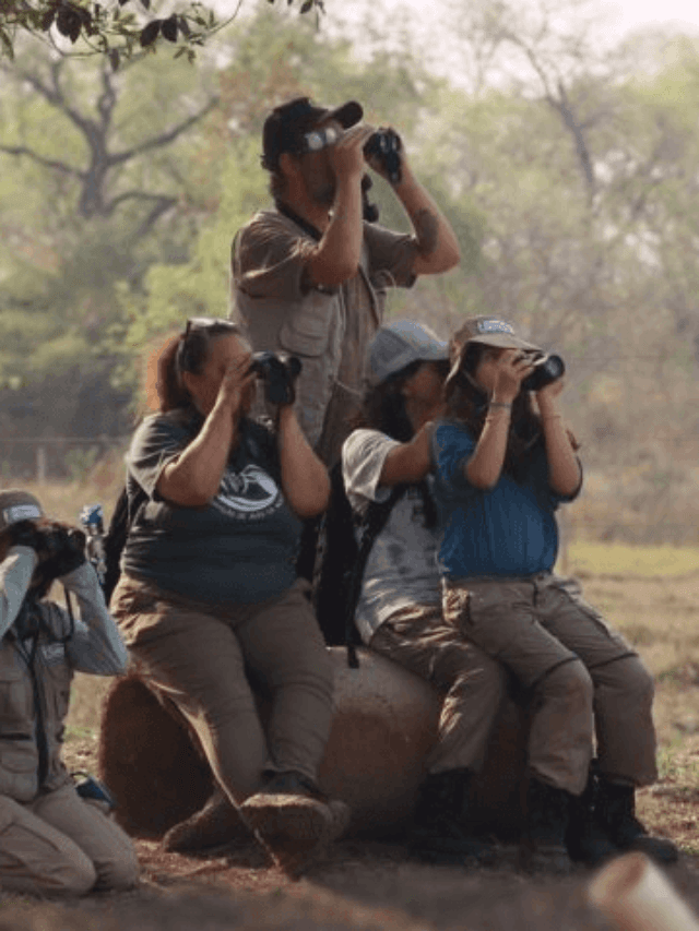 Observação de aves registra 345 espécies em MS